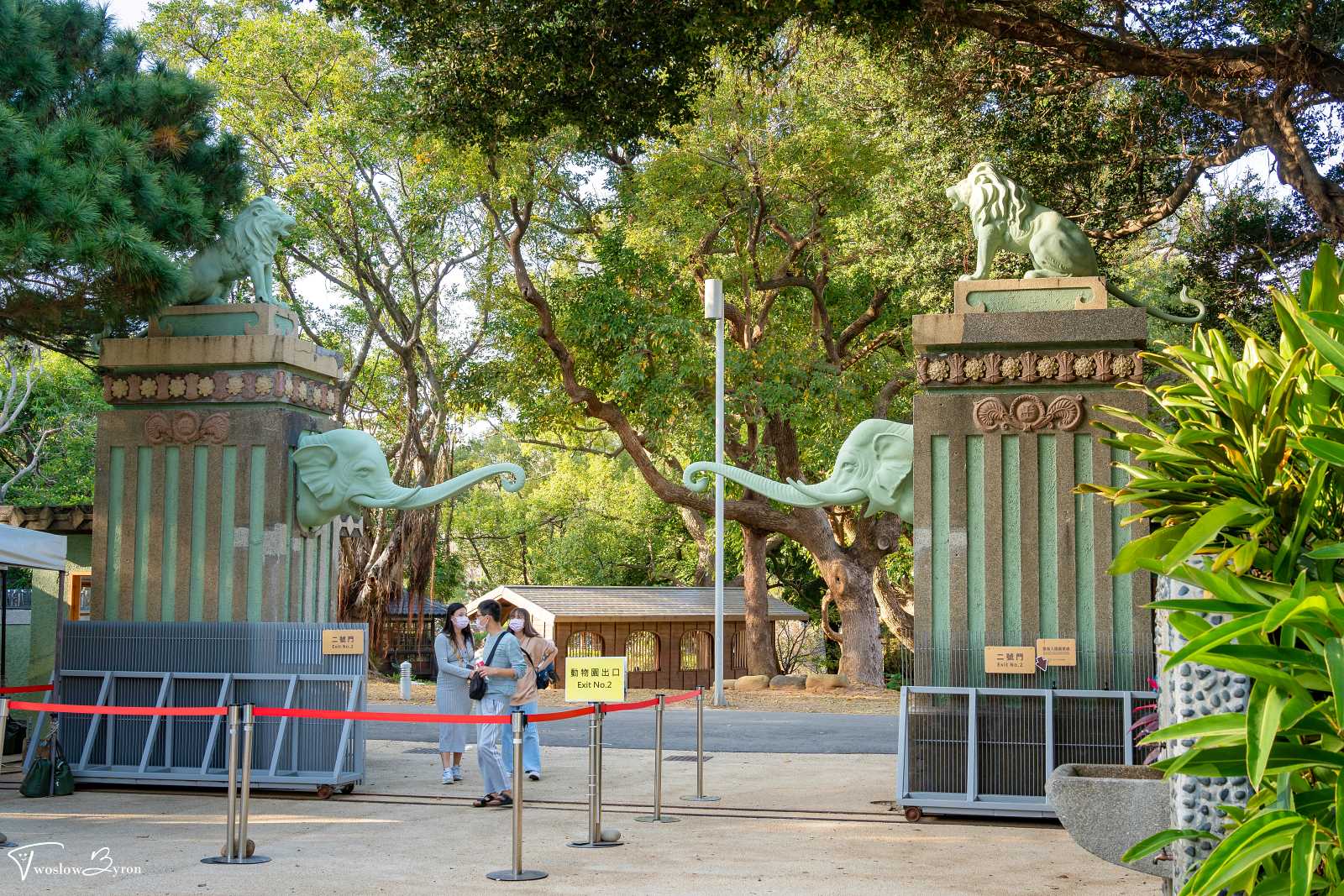 新竹動物園｜河馬樂樂、孟加拉虎、紅毛猩猩和天竺鼠，全新整修後的環境讓動物有舒服的家