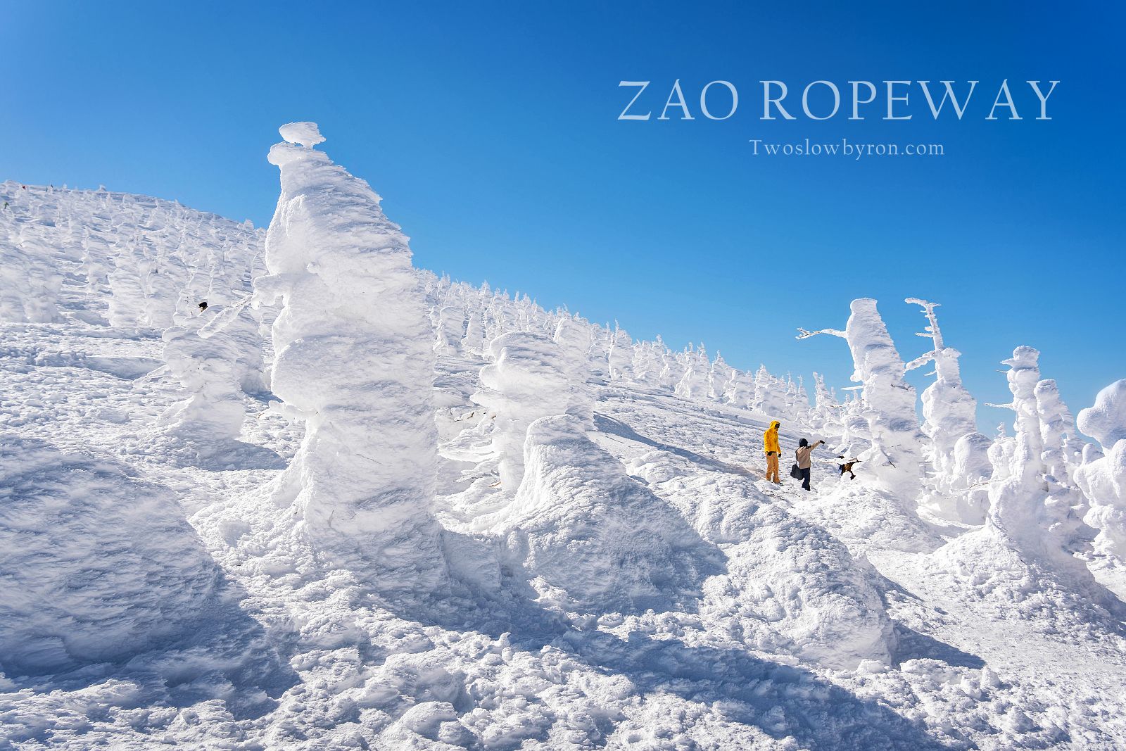 【日本山形】藏王樹冰｜日本冬季必去的景點