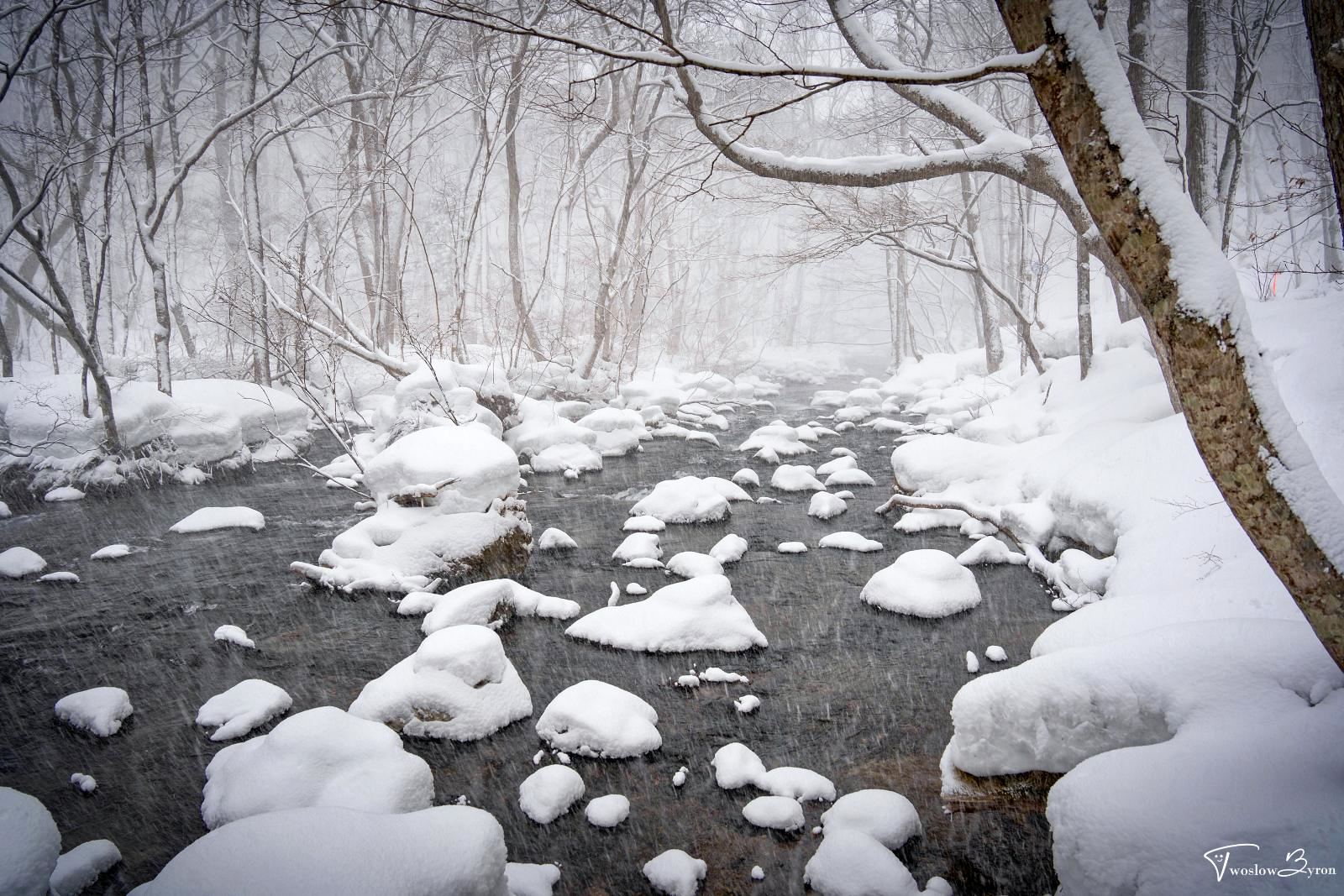 奧入瀨溪流 冬天